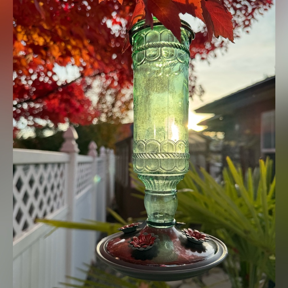Glass Hummingbird Feeder - Picture 2 of 5
